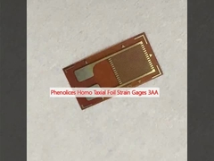 페놀릭스 호모 택시얼 포일 스트레인 가이즈 3AA